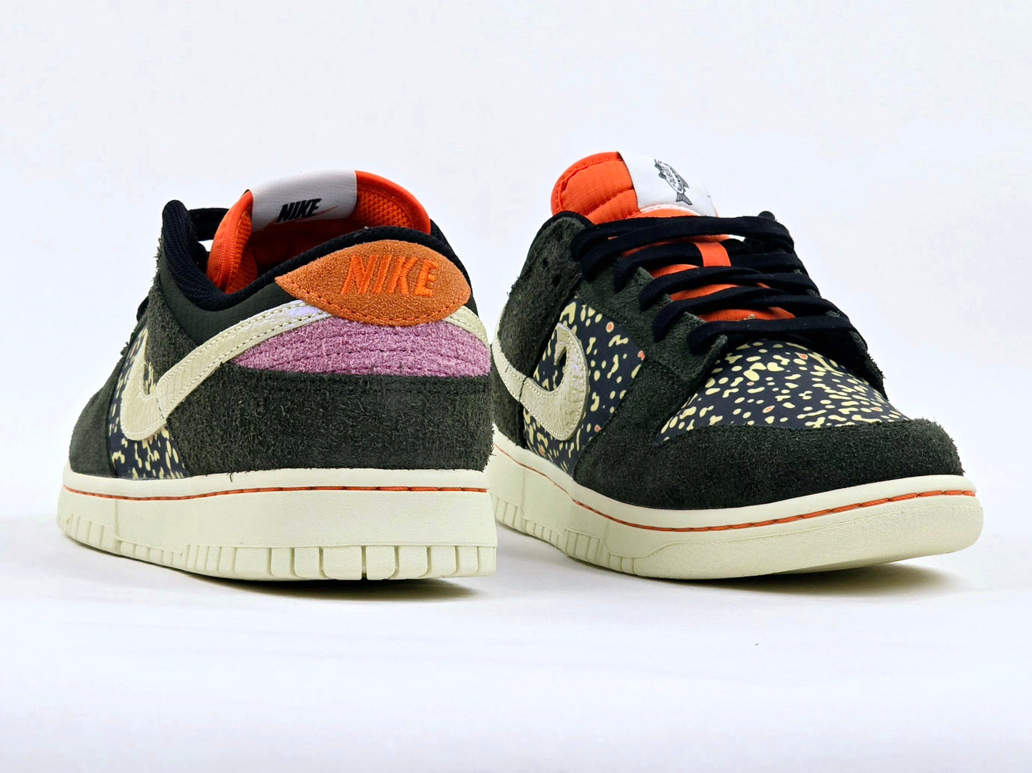 2023 NIKE DUNK LOW SE GONE FISHING RAINBOW TROUT