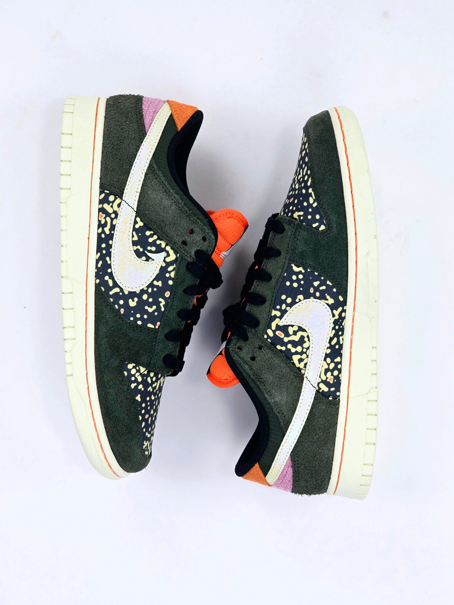 2023 NIKE DUNK LOW SE GONE FISHING RAINBOW TROUT